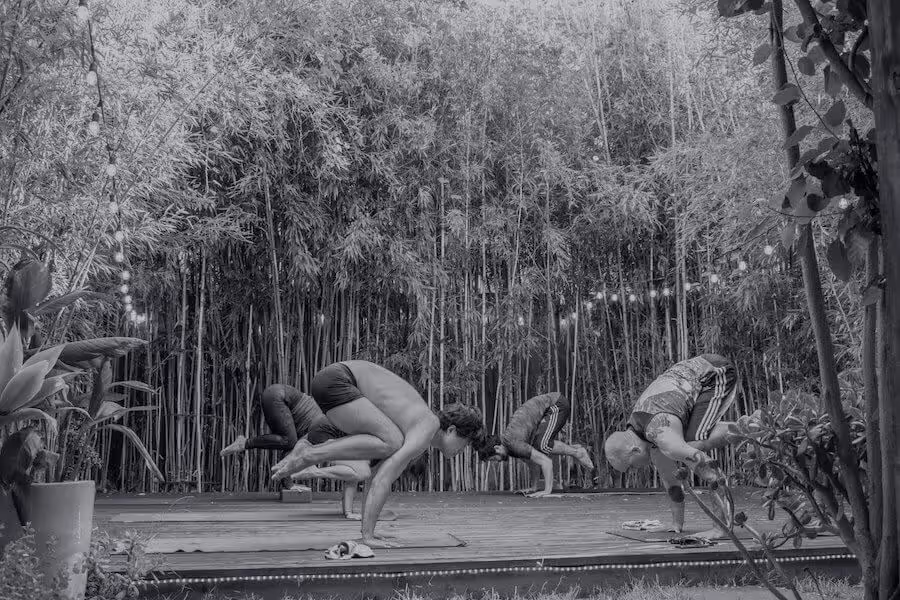 A group practicing crow pose in the bamboo garden